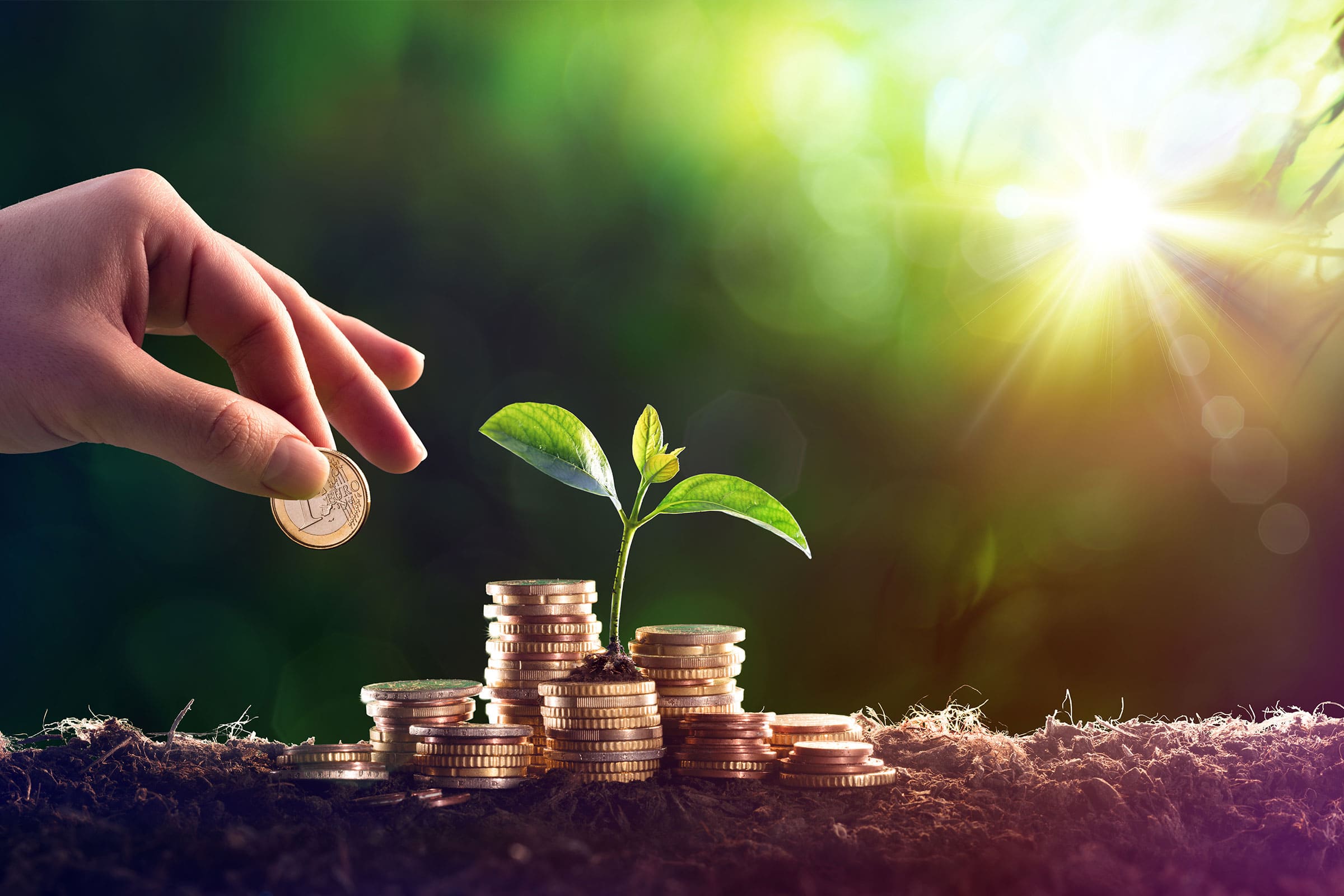 Optimize your finances