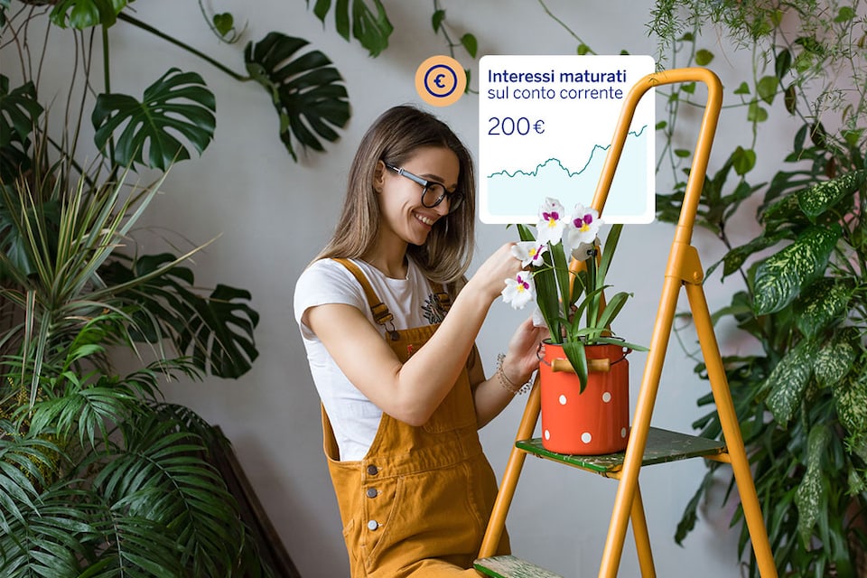Remunerazione conto
