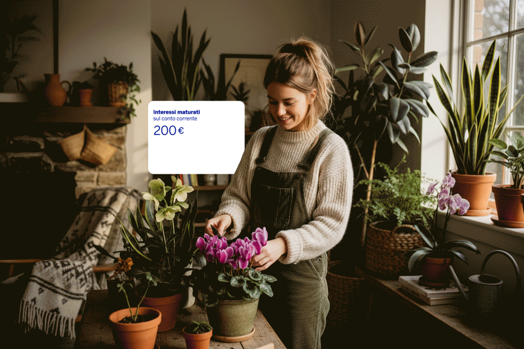 Remunerazione conto